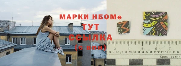 гидра Богородицк